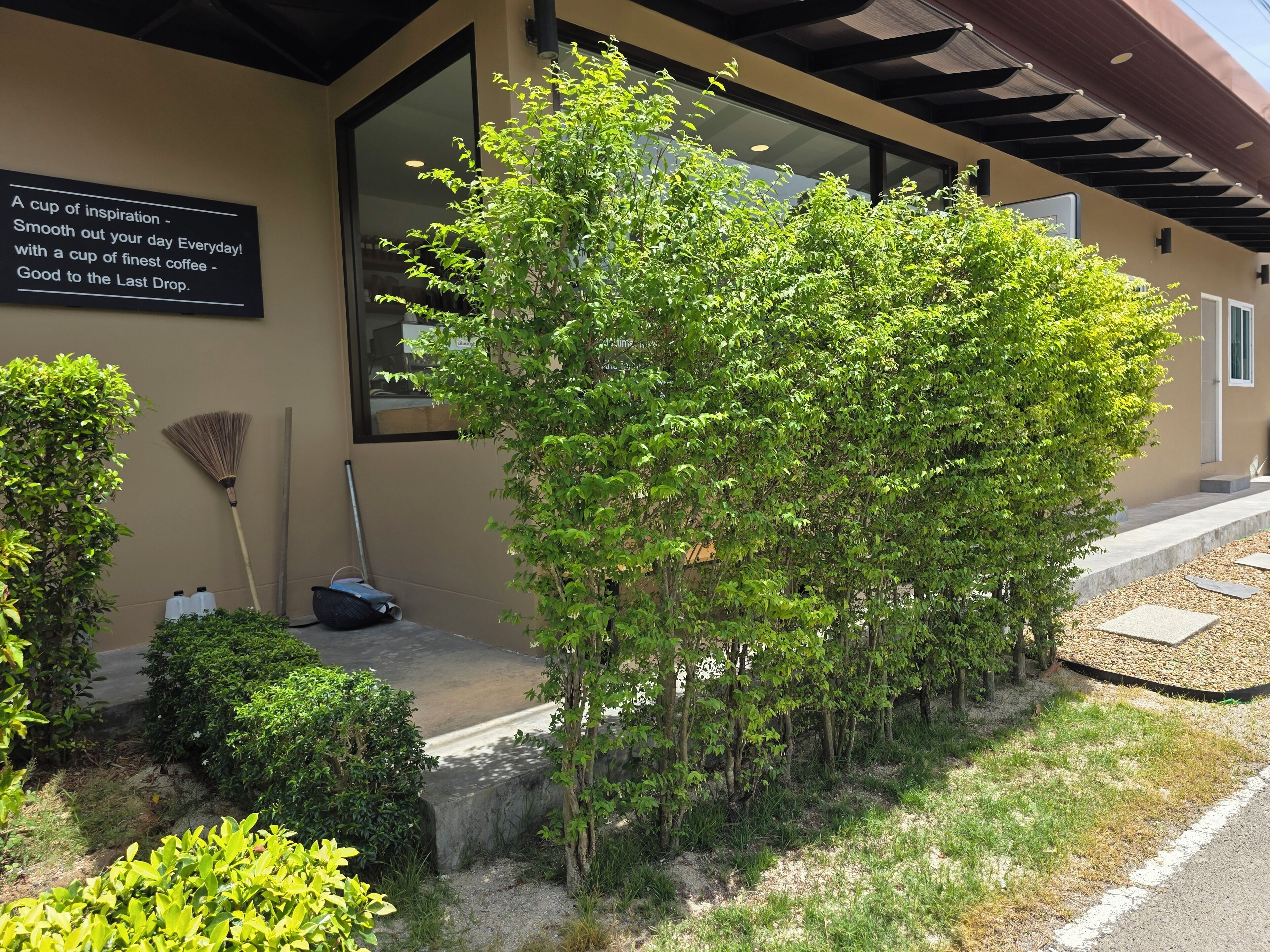 บริเวณภายนอก