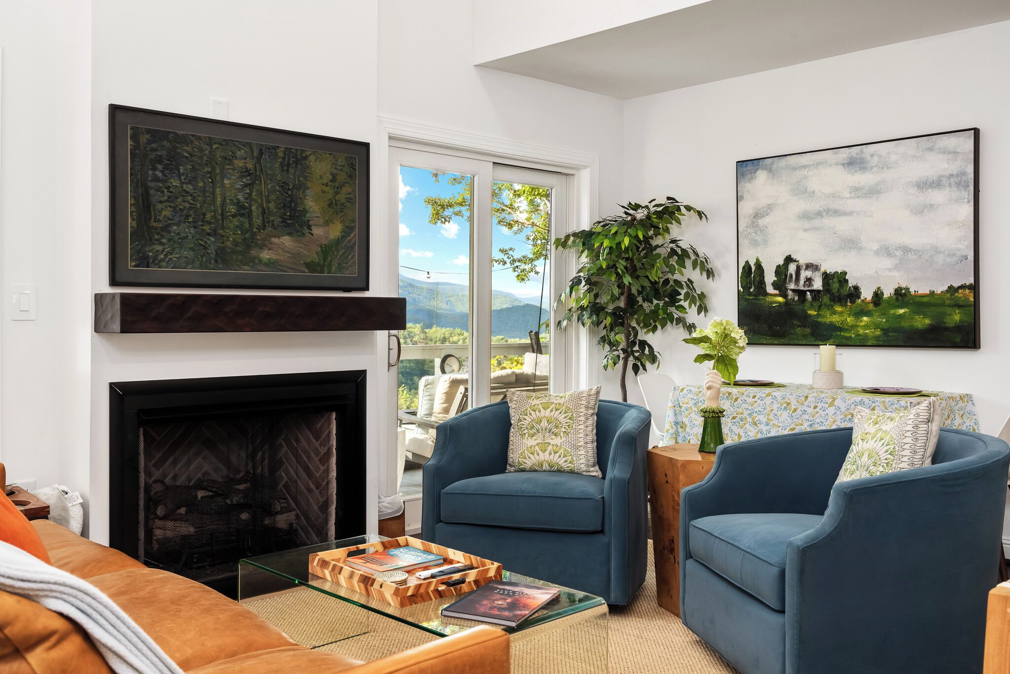 Smart TV, fireplace, books, offices