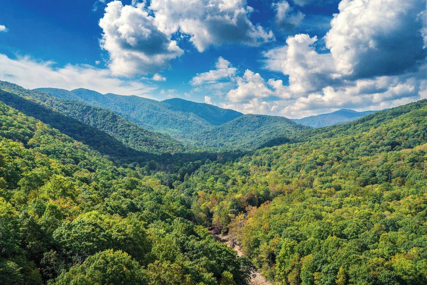 A mountainous landscape with dense forest coverage and a clear sky.