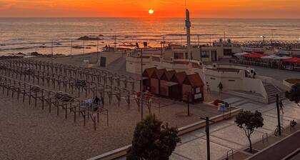 Beachouse Pvz 🌊🌅