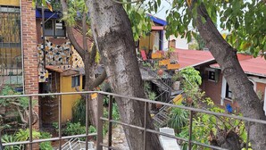 Une cour intérieure avec une clôture en métal, des arbres et des plantes en pot.