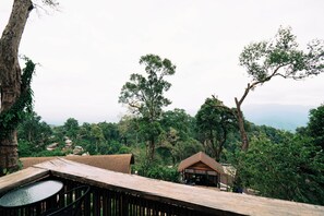Classic Single Room, Balcony, Mountain View | Teres/patio