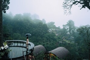 Khuôn viên nơi lưu trú
