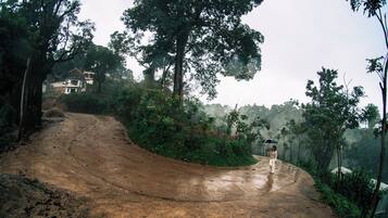 Uma estrada sinuosa com uma casa ao fundo, rodeada de árvores.