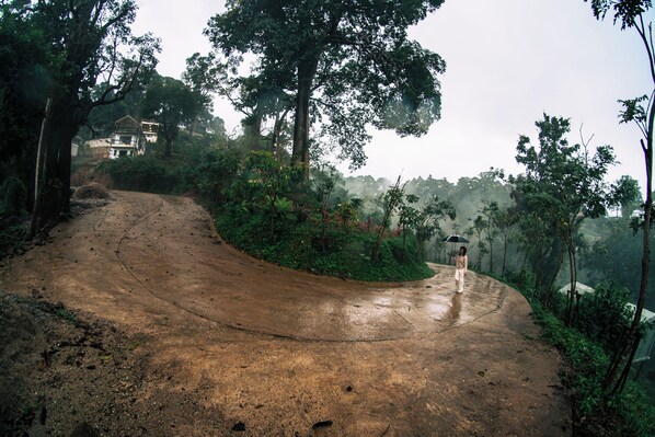 A winding road with a house in the background surrounded by trees. - Baan Nhuer Mek (Mae Taeng)