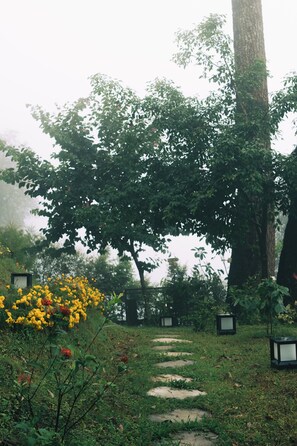 Jardin