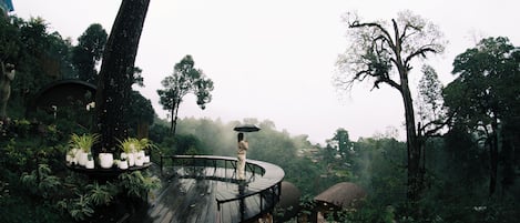 Terrain de lâhĂŠbergement
