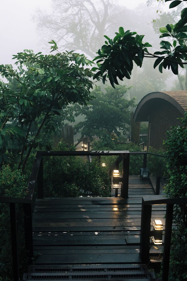 A wooden bridge leading to a building with an arched entrance, surrounded by dense foliage.