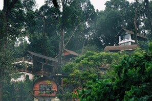 Basic Single Room, Balcony, Mountain View | Pemandangan dari bilik