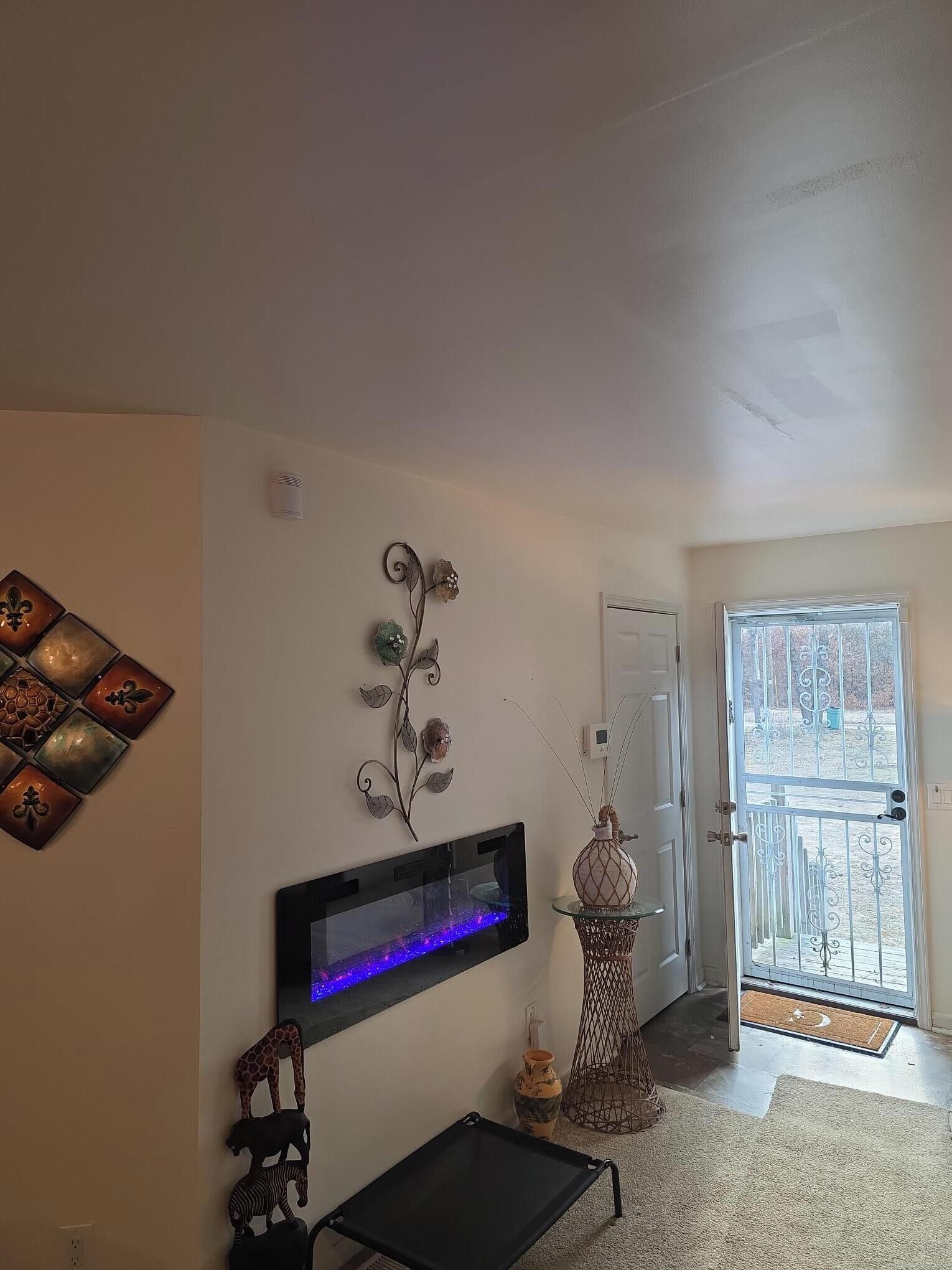 Smart TV, fireplace, computer monitors, printers