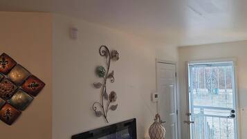 Smart TV, fireplace, computer monitors, printers