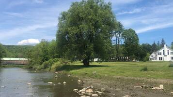 Un árbol grande junto a un río, una casa blanca y un puente al fondo.
