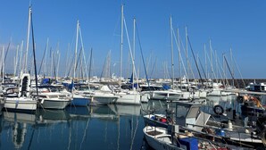 Un puerto deportivo con numerosos veleros amarrados en aguas tranquilas.