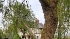 Ein grüner Schubkarren und eine Rechen liegen auf einer Rasenfläche mit einem großen Baum und einem Haus im Hintergrund.