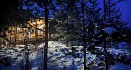 Cabin in the woods
