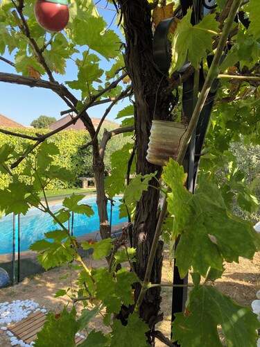 Villa avec piscine en Provence : l’Oliveraie