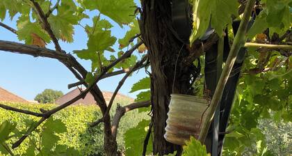 Villa avec piscine en Provence : lâOliveraie