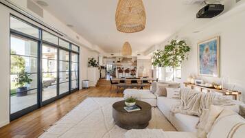 TV connectée, cheminée, livres, chaßne hi-fi