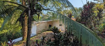 Ocean views breezes.   6-bedroom, 6-bath Spacious house with large patios.