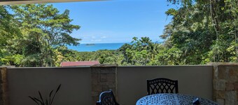 Ocean views breezes.   6-bedroom, 6-bath Spacious house with large patios. Osa.