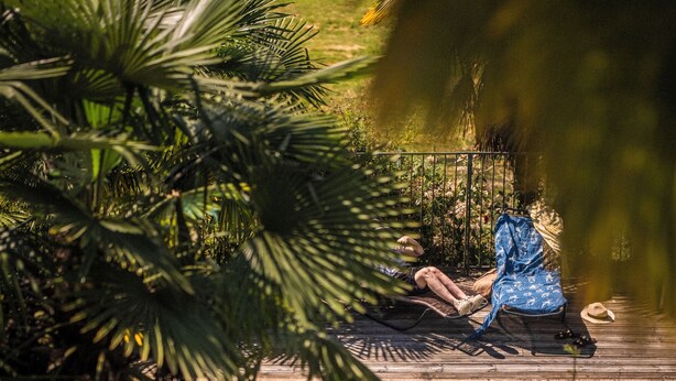 A swimming pool surrounded by palm trees and a person sitting on a lounge chair. - Maison Tournesol Pau Jurançon Gan (Gan)