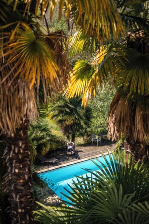A pool surrounded by palm trees and a chair. - Maison Tournesol Pau Jurançon Gan (Gan)