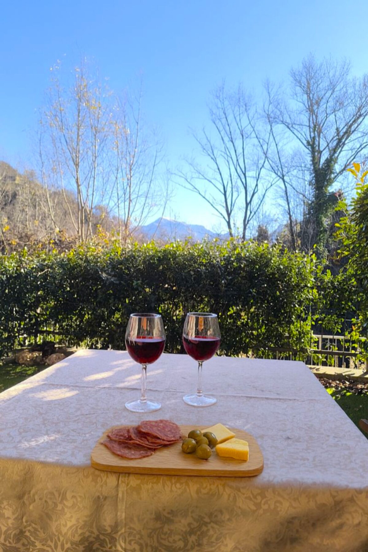 Imagen de perfil del propietario o de la propietaria