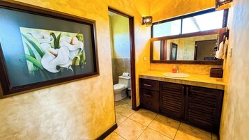 Un baño con un cuadro floral enmarco, un lavamanos con espejo y un inodoro.