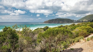 A coastal landscape with a clear view of the sea, a hilly terrain, and a wooden pathway.