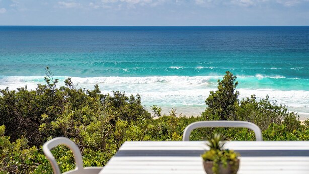 A view of the ocean from a table with a potted plant, surrounded by greenery.