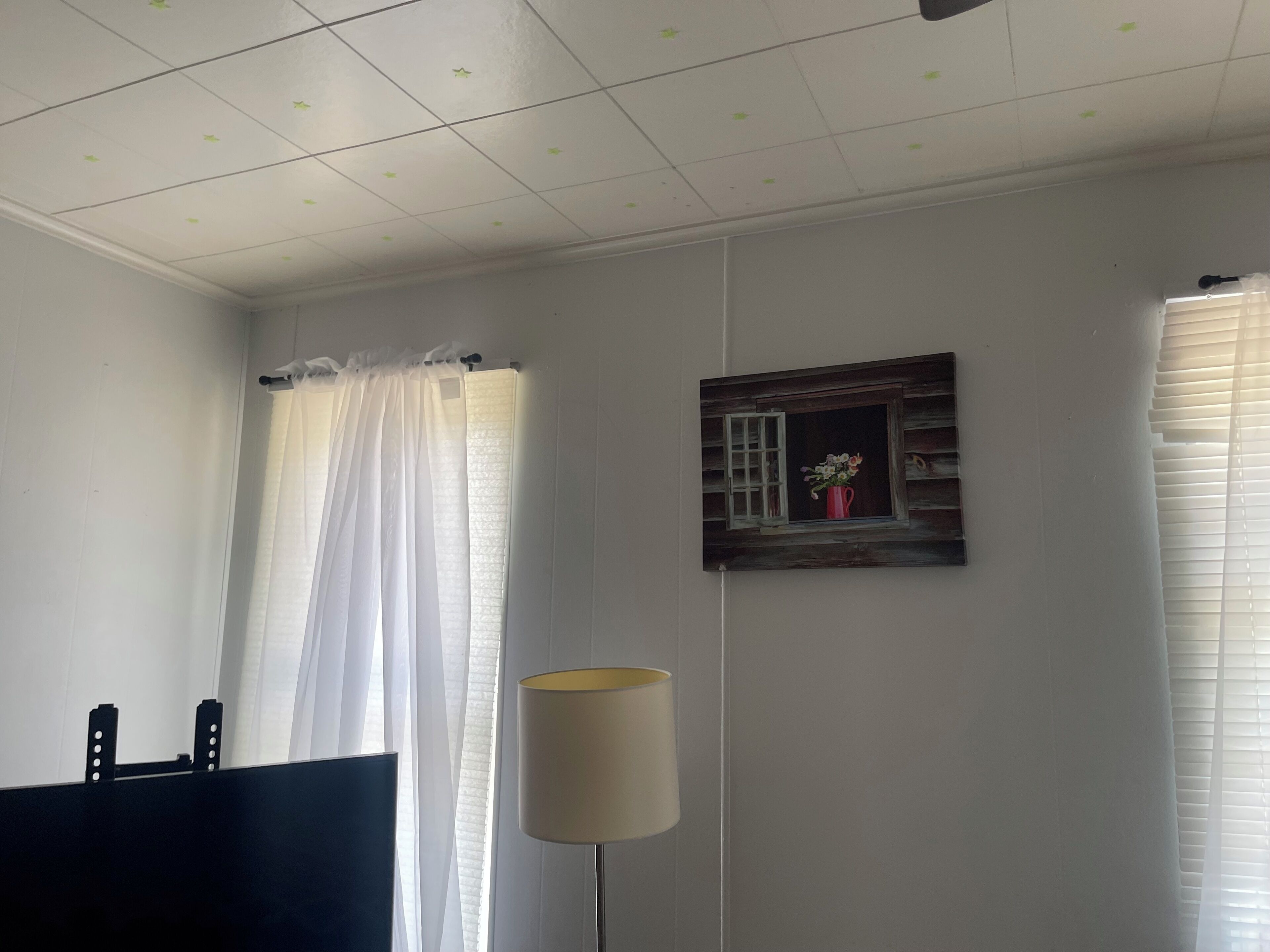 Een kamer met een wit plafond, een raam met witte gordijnen, een lamp en een ingelijst beeld aan de muur.