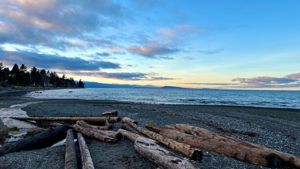A beach with driftwood and a view of the ocean and mountains.