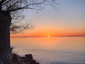 Miscellaneous - Waterfront 3 Bedroom cottage located in beautiful Turkey Point (Vittoria)