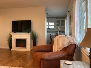 TV, fireplace, books