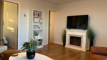 TV, fireplace, books