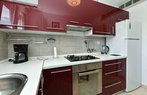 Fridge, oven, stovetop, dishwasher