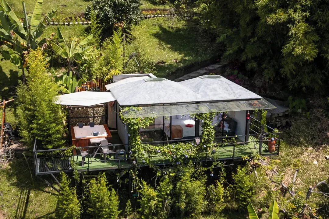 Una cabaña rústica con un porche verde, rodeada de abundante vegetación y un muro de piedra.