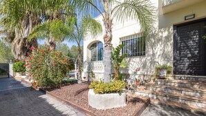 A paved walkway, a palm tree, a flower bed with red flowers, and a white building with a black door.