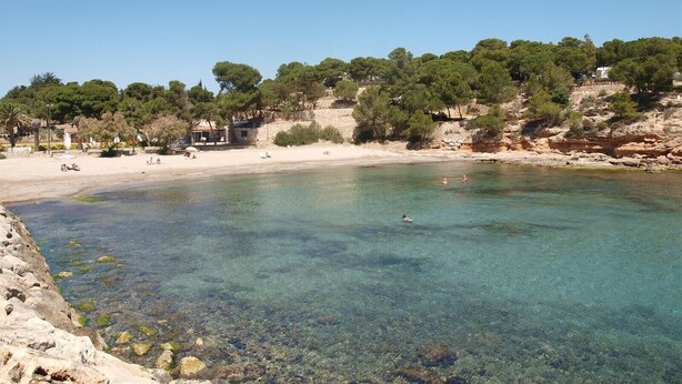 A coastal beach with clear water, rocky shore, and dense greenery.