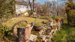 Um muro de pedra com um regador rústico, uma casa com escadaria e um jardim com diversas plantas.