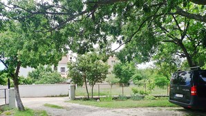 A gravel driveway leading to a parked car, surrounded by trees and a fence.