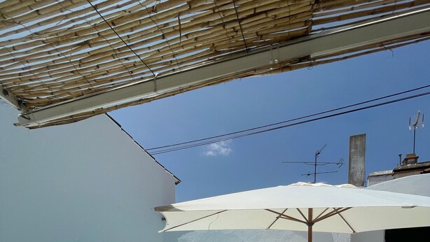 Una piscina sul tetto con rivestimento bianco, un pergolato sopra e una pianta in vaso nelle vicinanze.