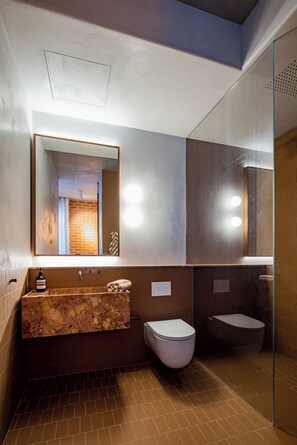 Shower, hair dryer, towels, toilet paper