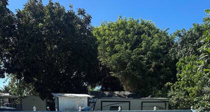 Tiny Wooden Home in Vega Baja with pool and close to the beach