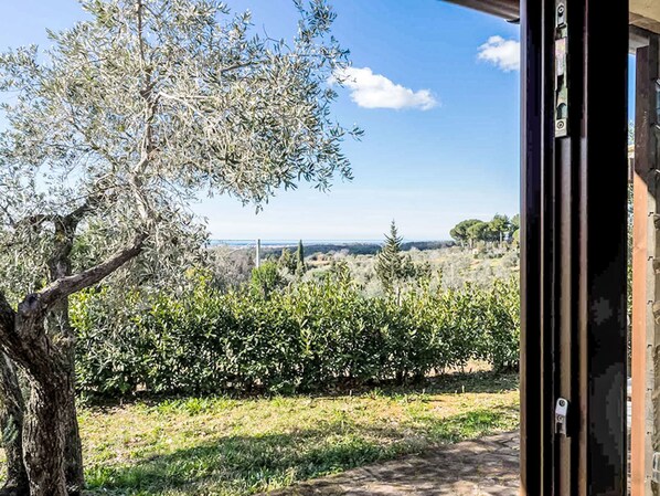 A view from inside a building looking out to a vineyard and distant landscape. - Tramontina by Interhome (Guardistallo)