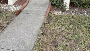 A building entrance with a concrete pathway leading to a door, a small garden area with shrubs, and a utility box labeled '709' on the wall. - "Nothing But Sunshine" (Fort Myers)
