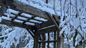 Une pergola en bois recouverte de neige, entourée d’arbres également couverts de neige.