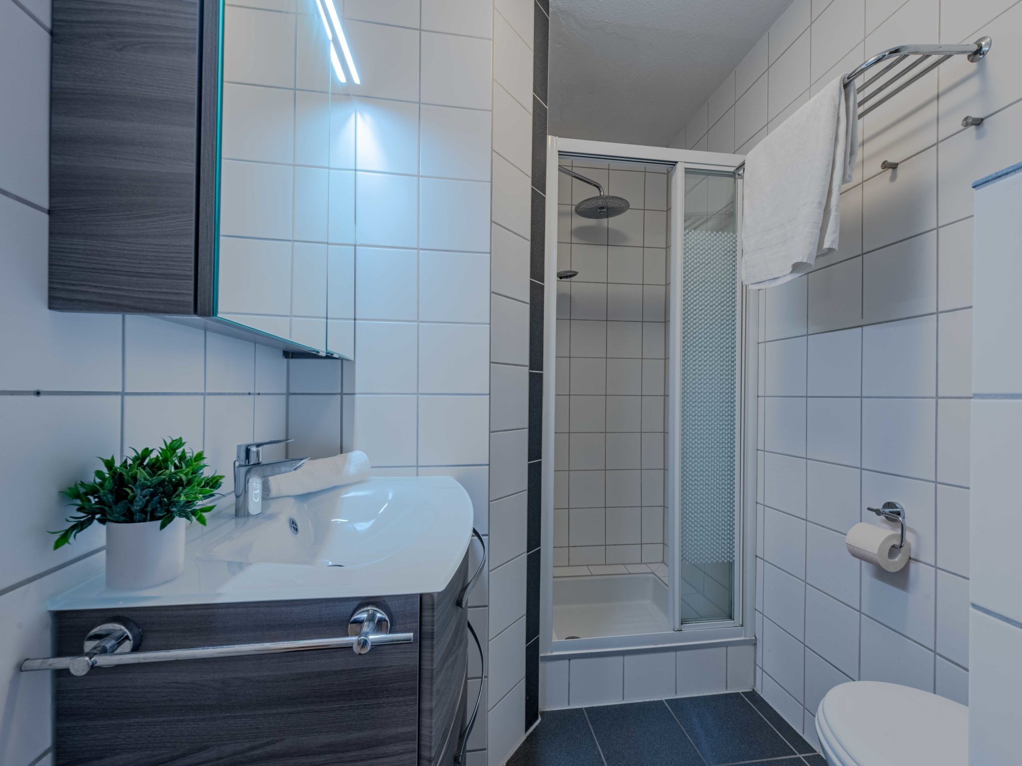 Une salle de bain moderne avec une douche à parois de verre, un lavabo avec un miroir et des toilettes.