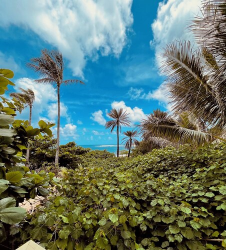 North Shore BEACHFRONT Bungalo Perfection @ Sunset Beach