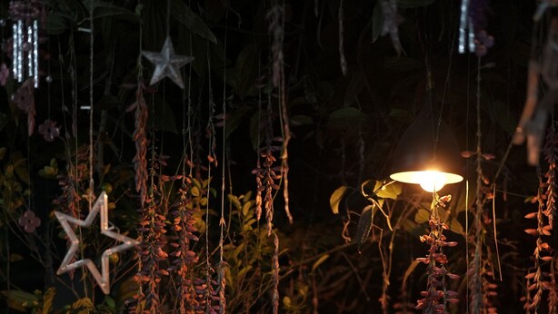 A bench in a garden with hanging plants and star-shaped decorations. - WIND VALLEY FARMSTAY (Ramakkalmedu)